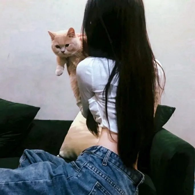 萧锋血战陈庄